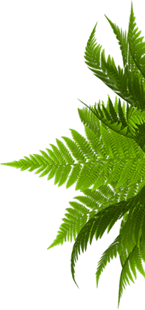 Изготовление и монтаж ворот